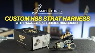Lambertones / Obsidian Wire / HSS Solderless Harness Demo & Review