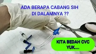 Berapa Cabang Sih didalam CVC itu?? II Bedah CVC II Tenaga Kesehatan