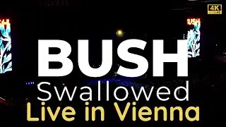 🌌 Bush &ndash; Swallowed | Live in Wien (01.10.) 🎶