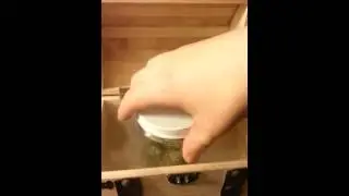 Legend of Zelda: Marijuana of Time