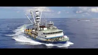 LungSoon Ocean Group | Purse seiner