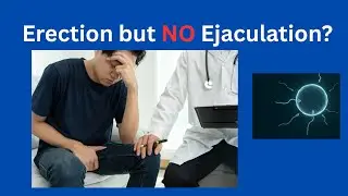 Erection but No Ejaculation? Causes, Myths & Treatment Explained by a Urologist