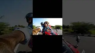 Monkey Bike Ride #funny #shorts #vlog #monkey #trending #song #funnyshorts #youtubeshorts #bike