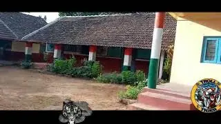 Kaggodlu school Madikeri