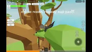 где найти все яйца орла  в игре animal sim
