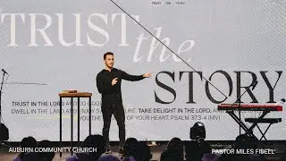 Trust The Story - Miles Fidell
