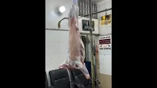 Full Bakra bnana sekhy krahi cut |Tradishional Butcher Amazing cutting skills | #noorani #live