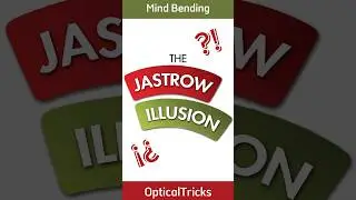 What is The Jastrow Illusion? 📌| #summerofshorts #mcvshorts