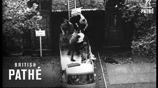 Berlin - The Wall Special Report Aka Flight Over The Wall (1965)