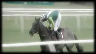 Don't Be Scared||::A Tribute To Denman