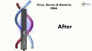 UV Pure Sterilizer | Sanitization at the Speed of Light