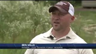 Wild parsnip plant can burn skin