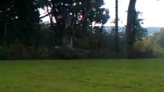 Shockwave targets