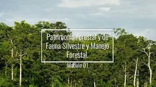 Modulo 01   Manejo Forestal