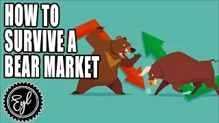 HOW TO SURVIVE A BEAR MARKET