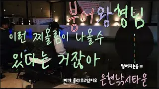 붕어왕형님(해적피싱) 에피소드11 이 겨울에 이런찌올림이 있다고? #원편대 #원편대조립 #찌올림영상 #붕어왕형님 #해적피싱 #하우스낚시 #토코떡밥  #원편대찌맞춤 #은현피싱타운