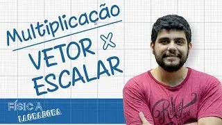 Multiplicação de Vetor Por Um Escalar [Física Lacradora]