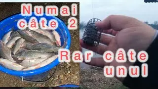 🏆🌊🥶PESCUIT ACTIV IARNA PE PLOAIE ȘI VREME URATA !! Numai câte doi 2️⃣ 