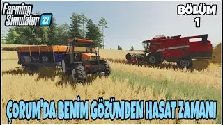 ÇORUM İÇİN HASAT ZAMANI AMA BJORNÜN GÖZÜNDEN /1