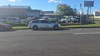 Rodent Control Dapto