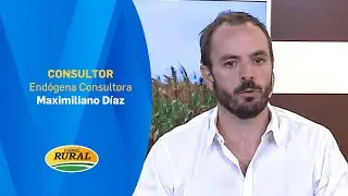 Puntos clave del acuerdo EU - Mercosur | Maximiliano Díaz | Consultor | 19/01/26 | MV