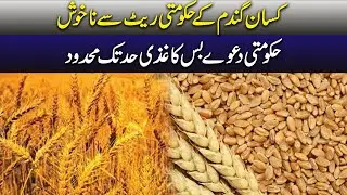 Farmers Angry Over Government Wheat Price &mdash; Voices of Protest Rising Across Pakistan!