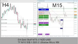 EA Gold Stuff MT5 // NZD USD TF M15