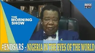 Buhari is trying to demonize the international community over #EndSARS protests-Prof Bolaji Akinyemi