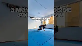 Gana FUERZA & MOVILIDAD con estos 3 EJERCICIOS de ANIMAL FLOW