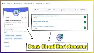 Data Cloud Enrichments | Salesforce Trailhead | Quiz Solution