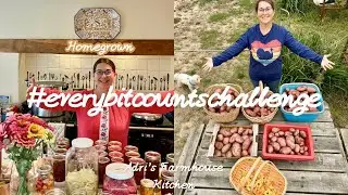 Main crop Potato harvest and Pressure canning Beef and Bean Chili #everybitcountschallenge
