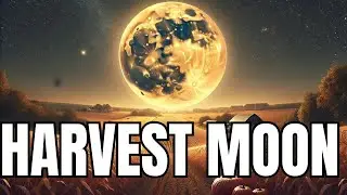 Everything You Need to Know About Harvest Moon - What Is It?