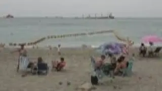 Cargo ship beached after collision in Bay of Gibraltar