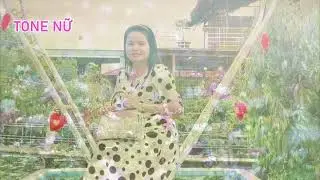 KARAOKE Mộng Hoa Sim Tone Nữ Ngoc Loan