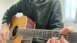 Funny Bunny  The    pillows カバー　弾き語り