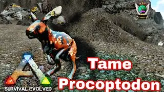Tame Procoptodon Ark Survival Evolved Mobile