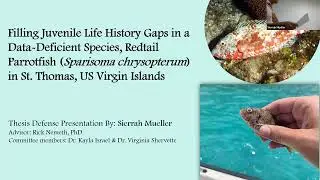 MMES Thesis Defense Presentation: Sierrah Mueller