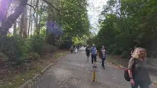 Autumn in Alfred Nicholas Memorial Garden Mt Dandenong Australia 2025 @goplaces1