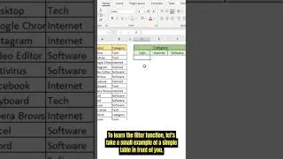 MS Excel filter function use #exceltraining