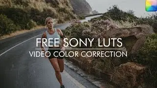 Free Sony Luts