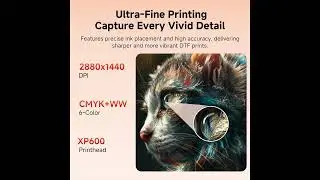 PLK A3 Plus XP600 DTF Printer Review | Double-Speed Printing, Dual White Ink & Auto Cleaning