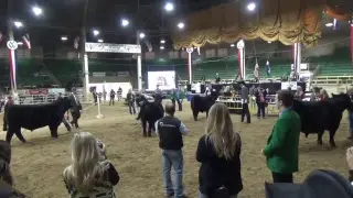 NWSS - Angus Bull ROV Show