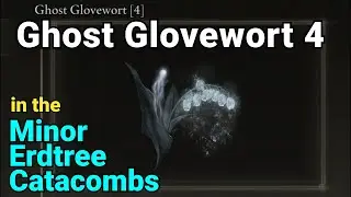 Ghost Glovewort 4 - Minor Erdtree Catacombs in Caelid - Elden Ring