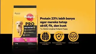 Pedigree PRO High Protein - PUPPY