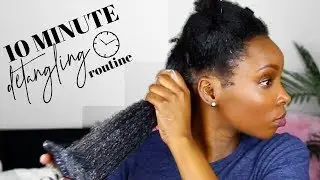 HOW TO DETANGLE 4C NATURAL HAIR IN 10 MINUTES!!!!