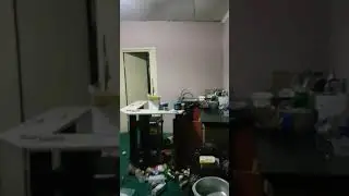 Crazy woman breaking plates