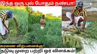 இந்த மாதிரி பண்ணுங்க! நல்ல 