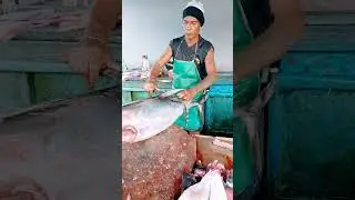 tulang punggung tuna #shorts #fishcutting #tuna #fish #seafood