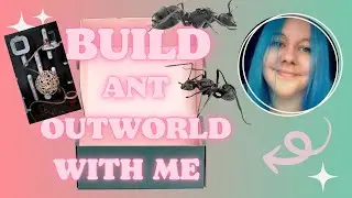 Building weaver ant outworld from @wakooshi :)