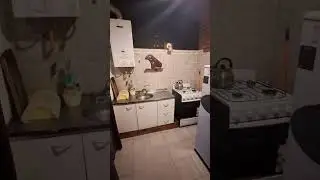 cabana el aromo